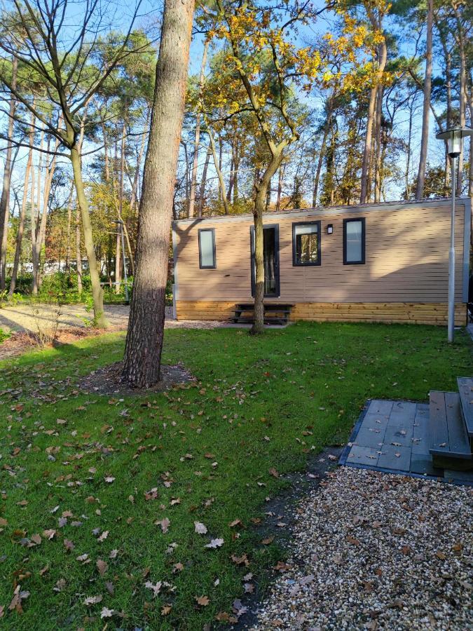 Bospark De Brenkberg Motel Schinveld