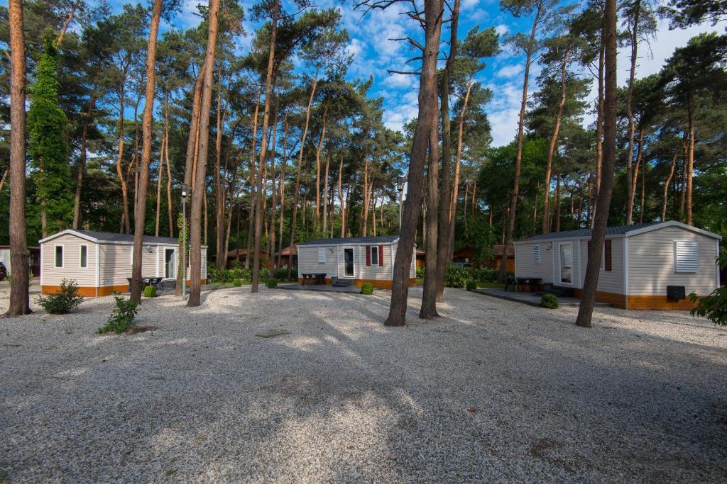 Bospark De Brenkberg Schinveld